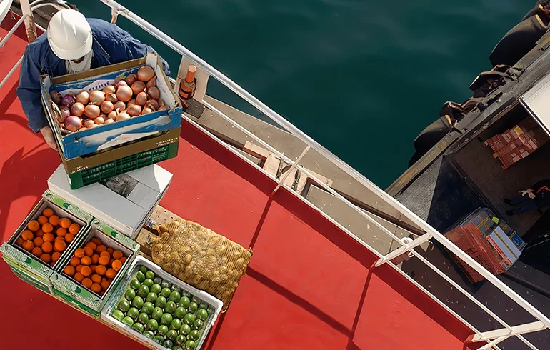 Provision Stores - 2